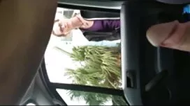 Tytöt seksiä rakasta ...