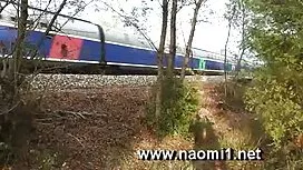 Hieroja poista torah ...