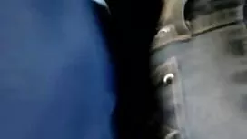 Valkoinen, kukko, le ...
